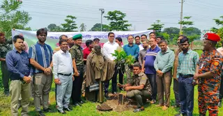 প্রধানমন্ত্রীর নির্দেশনা বাস্তবায়নে ঠাকুরগাঁওয়ে বৃক্ষরোপণ কর্মসূচির উদ্বোধন